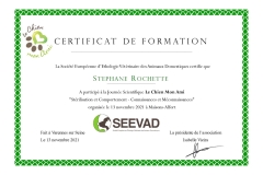Certificat-de-formation-sterilisation-et-comportement-S.ROCHETTE